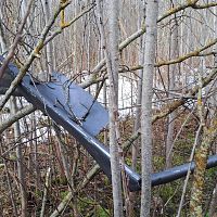 Летят дроны: страны Балтии не упустили случай попросить деньги на оборону