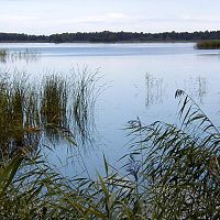 «Озеро полно мёртвой рыбы»: что случилось на Каниерисе? «Озеро полно мёртвой рыбы»: что случилось на Каниерисе?