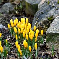 Весна пришла! Обещают солнце и до +15 градусов уже на следующей неделе Весна пришла! Обещают солнце и до +15 градусов уже на следующей неделе