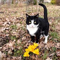 Возможны сильные дожди и мокрый снег: прогноз на ближайшие дни