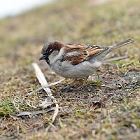 Будет ли тепло в среду? Синоптики дали прогноз