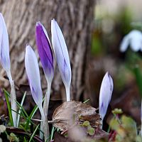 Уже сегодня: воздух прогреется до плюс 15