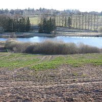Совсем тепло: погода в понедельник Совсем тепло: погода в понедельник