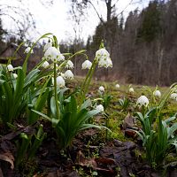 Ночью ожидается легкий мороз, зато суббота будет солнечной