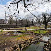 В Риге пройдёт акция протеста против политики иммиграции. Под окнами бюро «Нового единства»