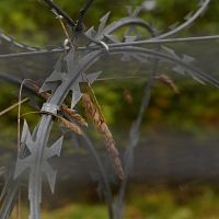 А пусть Украина предупреждает нас о дронах: власти признали проблемы с контролем границы