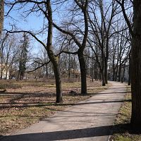 В пятницу обещают тёплый день и порывы ветра до 16 м/с