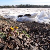 Потепление до +10 и солнце: какой будет пятница?