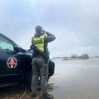 Побежали дальше: попавшие в Латвию нелегалы застряли в литовском болоте у границ Польши Побежали дальше: попавшие в Латвию нелегалы застряли в литовском болоте у границ Польши