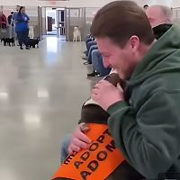 В Канаде собаки из приюта сами выбирают себе хозяев: вот как то происходит (ВИДЕО)