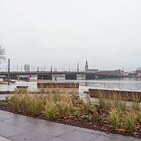 Просит самого себя выпороть? Баранник об ответственности комитета Пуполса