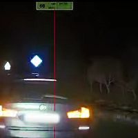 Пришлось дважды таранить: полиция остановила отчаянного водителя BMW (ВИДЕО)