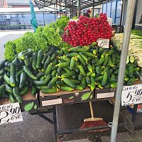 Требуют хорошо знать русский, а не латышский: нацактивисты в шоке от объявления о работе на рынке