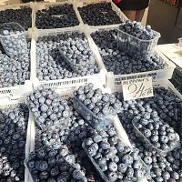 Витамины надо? Как цены на топливо изменили цены на Центральном рынке (ФОТО)