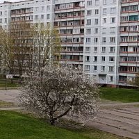 К Латвии подходит тёплый атмосферный фронт: что будет?