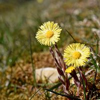 Суббота будет тёплой: прогноз синоптиков
