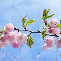 +15 уже скоро! Синоптики дали прогноз на неделю