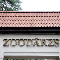 Всегда бы так: Рижский зоопарк за 1 евро посетили тысячи людей. ВИДЕО