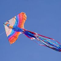 Готовьтесь к ветру: до +9 и порывы до 16 м/с Готовьтесь к ветру: до +9 и порывы до 16 м/с