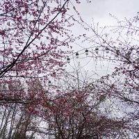 Руки золотые, но обе левые: разметка для слепых не держится в нашем асфальте? ВИДЕО