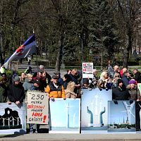 Они ещё и падают! У здания Кабмина проходит пикет против строительства ветропарков