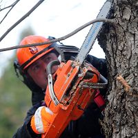 На литовской границе распилили машину контрабандиста: что нашли?