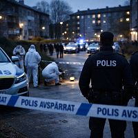 У нас как в Швеции не будет, успокаивает Раев. А в Швеции уже дети становятся киллерами