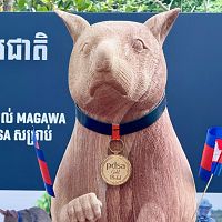 В Камбодже поставили памятник крысе-сапёру, спасшей тысячи жизней