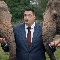 Ратниекс не хочет индусов, а хочет слонов. Но тут тебе не Индия, говорят эксперты