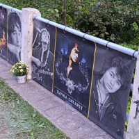 Цой жив! Киноманов приглашают на весеннюю уборку на Километр (ВИДЕО) Цой жив! Киноманов приглашают на весеннюю уборку на Километр (ВИДЕО)