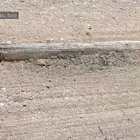 Смертельный сюрприз: из региональной дороги вылезли… брёвна