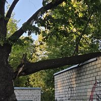 Буря передохнула и возвращается: с обеда по Латвии новое жёлтое предупреждение (ФОТО)