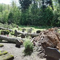 Под Прейли ветер повалил два больших дерева на кладбище. ФОТО