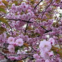 Дожди уходят: погода в среду