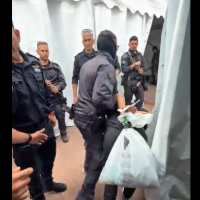 Скандальное видео с задержанными активистами поссорило Израиль с Европой и США (ВИДЕО)