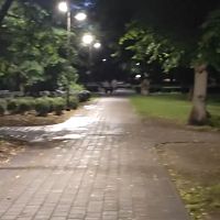 «Другого варианта нет!» Рижане начали сами патрулировать улицы по ночам