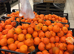 Kustība «Mandarīnu zeme» decembrī rīkos labdarības svētku pasākumus bērniem