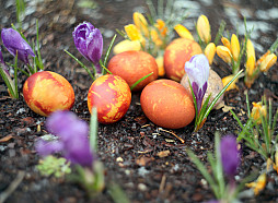 Lieldienās Latvijā kļūs nedaudz siltāks, bet iespējami nokrišņi