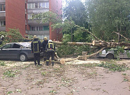 Glābēji devušies vairākos desmitos izsaukumu novākt vēja nolauztus kokus