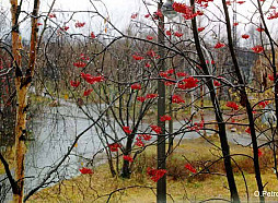 Lāčplēša diena nenesīs izmaiņas laikapstākļos