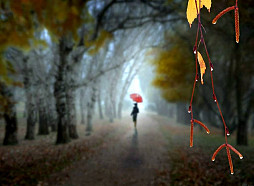 Tuvākajā diennaktī dažbrīd gaidāms lietus