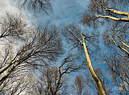 Ceturtdiena būs vējaina, Kurzemē gaiss iesils līdz +12 grādiem