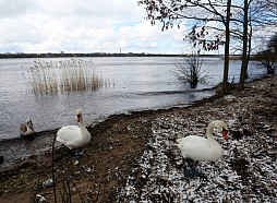 Janvāra otrajā pusē gaidāms silts laiks, nokrišņu kļūs mazāk