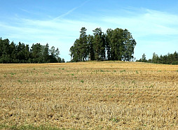 Lauksaimnieki: Vasarāju sējas darbi Latvijas reģionos rit atšķirīgā tempā