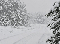LVM: Lielākais sniega segas biezums uz meža autoceļiem šogad bijis 32 centimetri