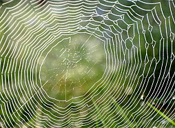 Trešdien laikapstākļi pakāpeniski uzlabosies