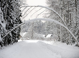 Biezākā sniega sega Ziemassvētkos bija 1981. gadā