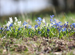 Nākamās nedēļas sākumā gaidāms mierīgs un sauss laiks