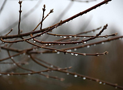 Svētdiena būs mākoņaina, valsts rietumos būs pa kādam saules staram