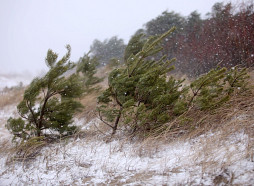 Stiprais vējš pakāpeniski pierims svētdienas gaitā